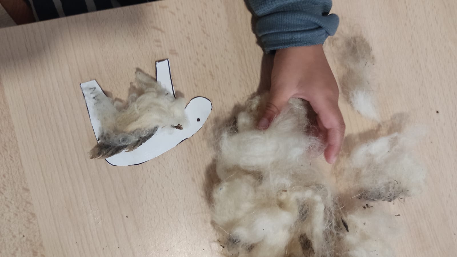 Desarrollando los sentidos