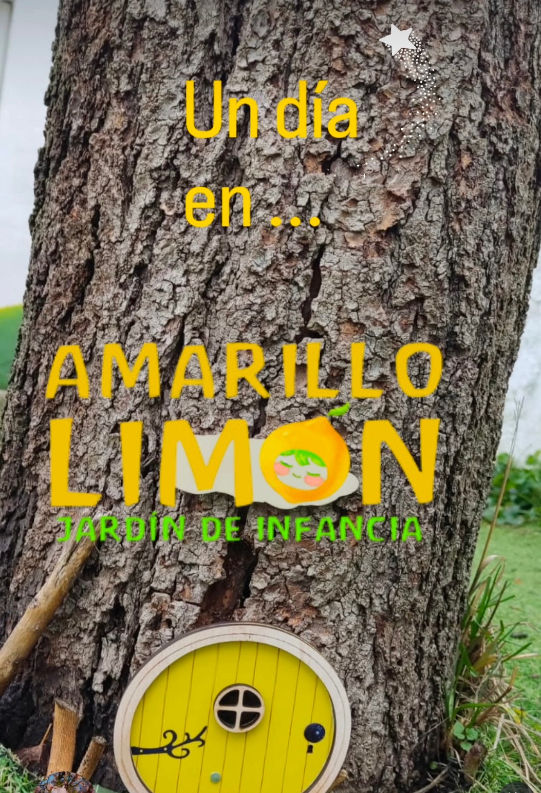 Un día en Amarillo Limón